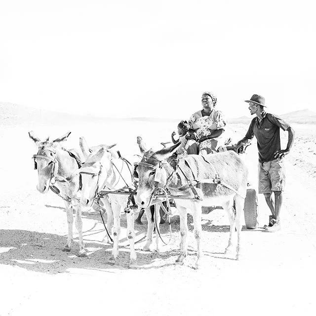 The harsh environment in the Namibian deserts is highlighted in this high-key depiction of a donkey cart heading into town. Namibia presents many opportunities for artistic renditions of everyday events. &bull;
&bull;
#beautifulviews #namibia #Africa