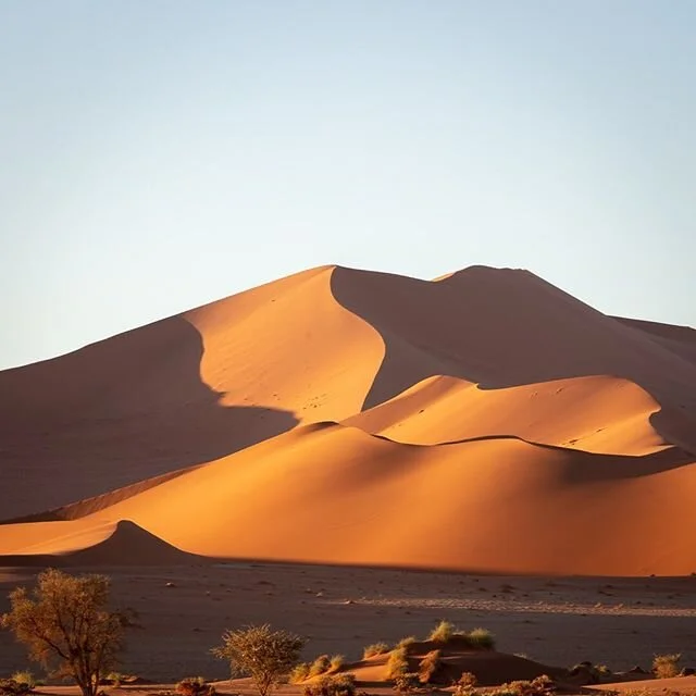 Are you ready for a Photo Expedition to Namibia?
&bull;
You&rsquo;re in luck because a last-minute cancellation has made one place available&hellip;.. And as a result, the price is highly negotiable. If you respond instantly, you could get to Africa 