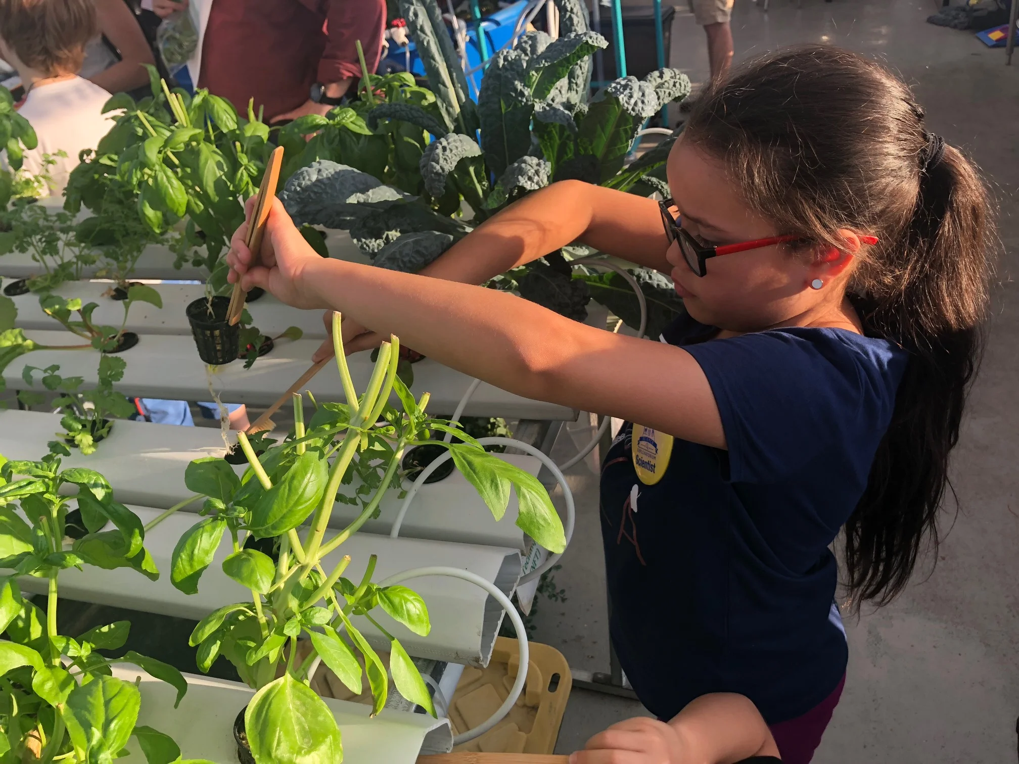 Junior scientists at work