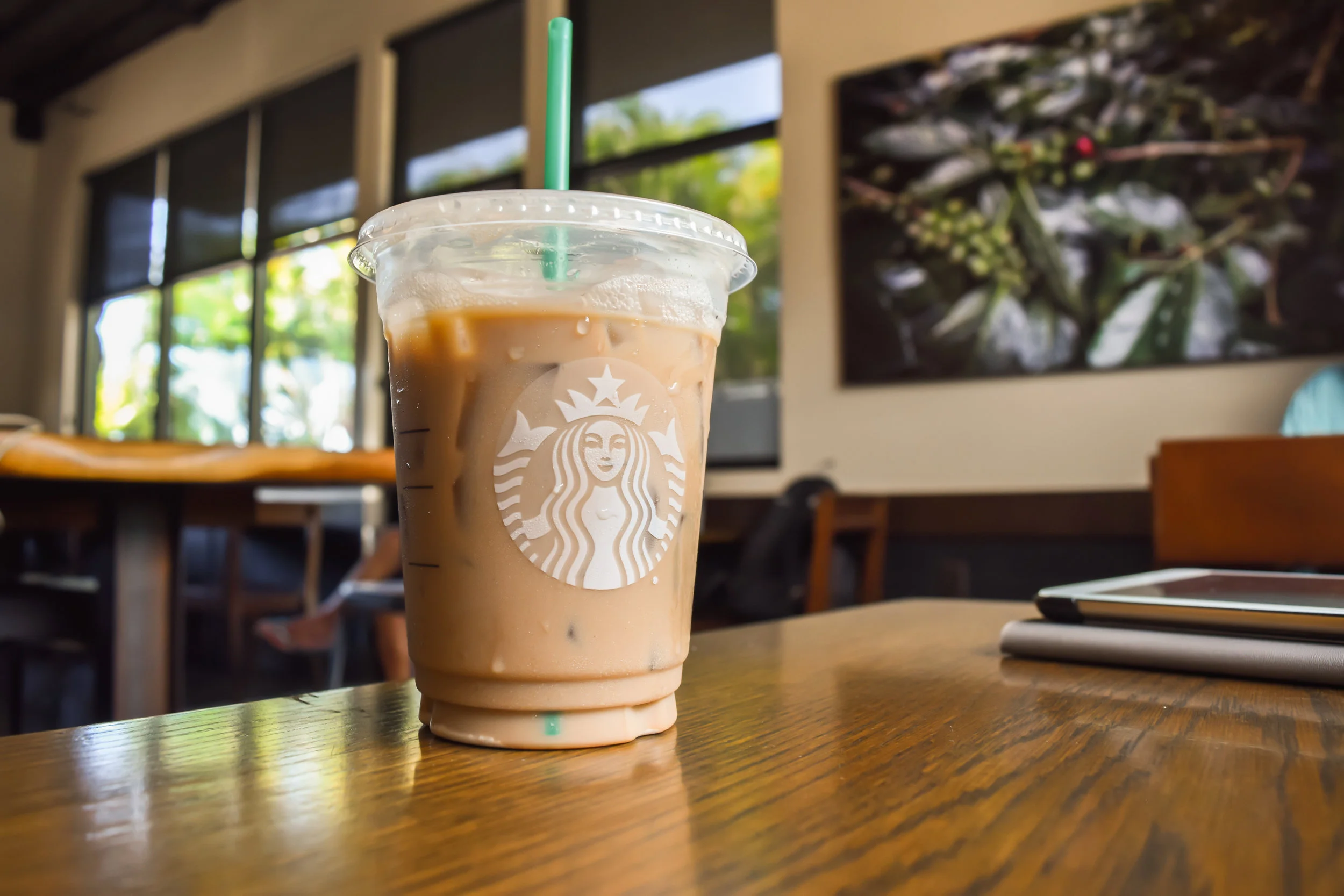 Starbucks Vs Real Chai Which Is Better I Try Chai