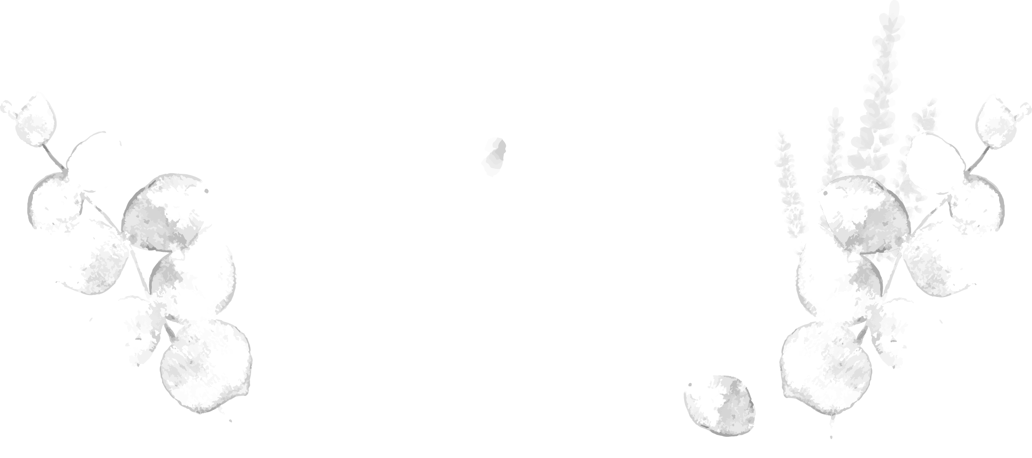 Popp Photography 