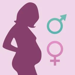 Fertility and Infertility: What You Need to Know