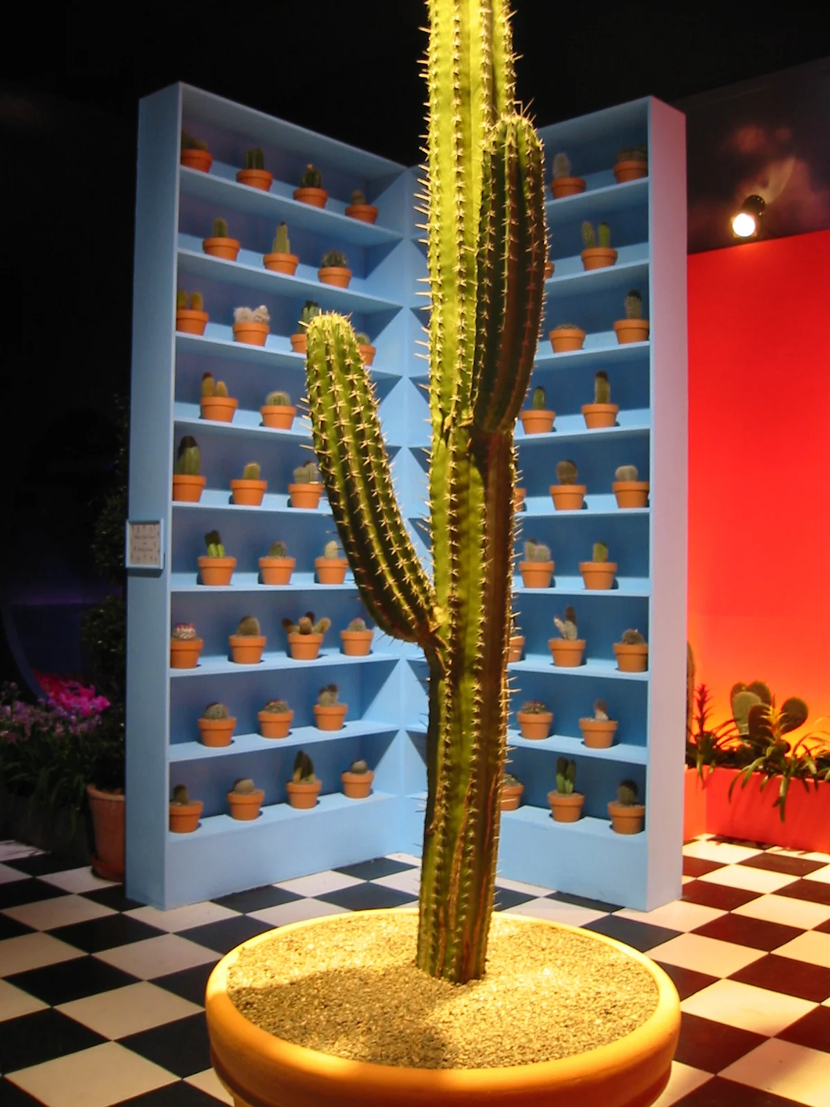 Fl Show 2004-049.JPG