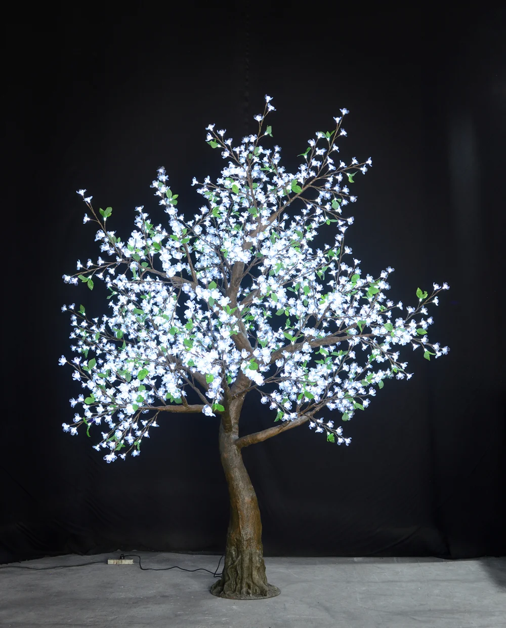 Pure White Flatiron Tree