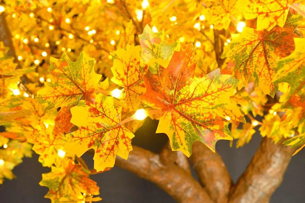 Yellow Maple Leaves