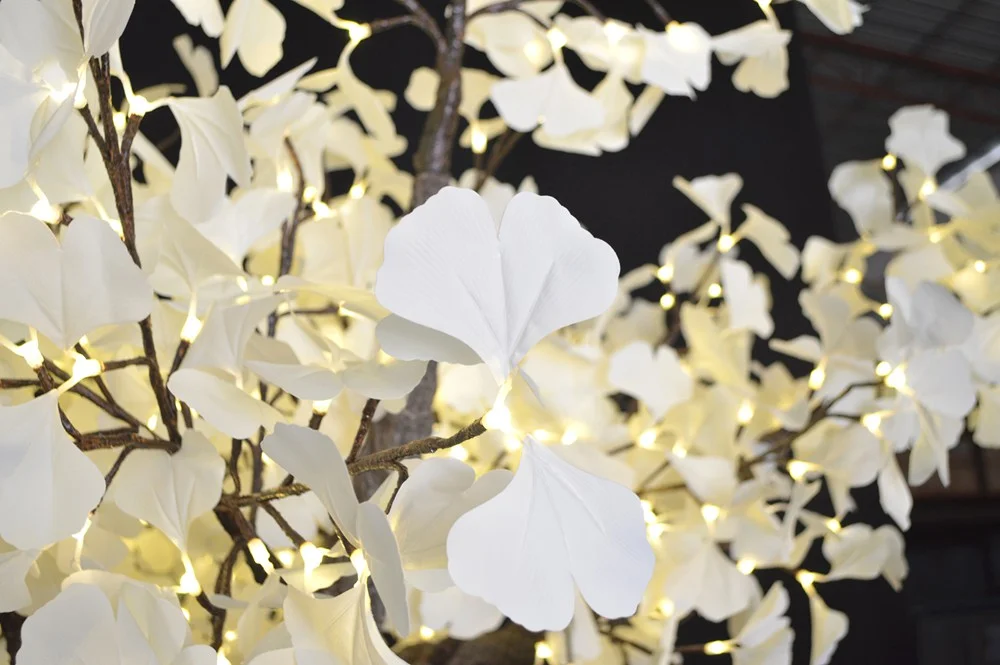 White Gingko Leaves