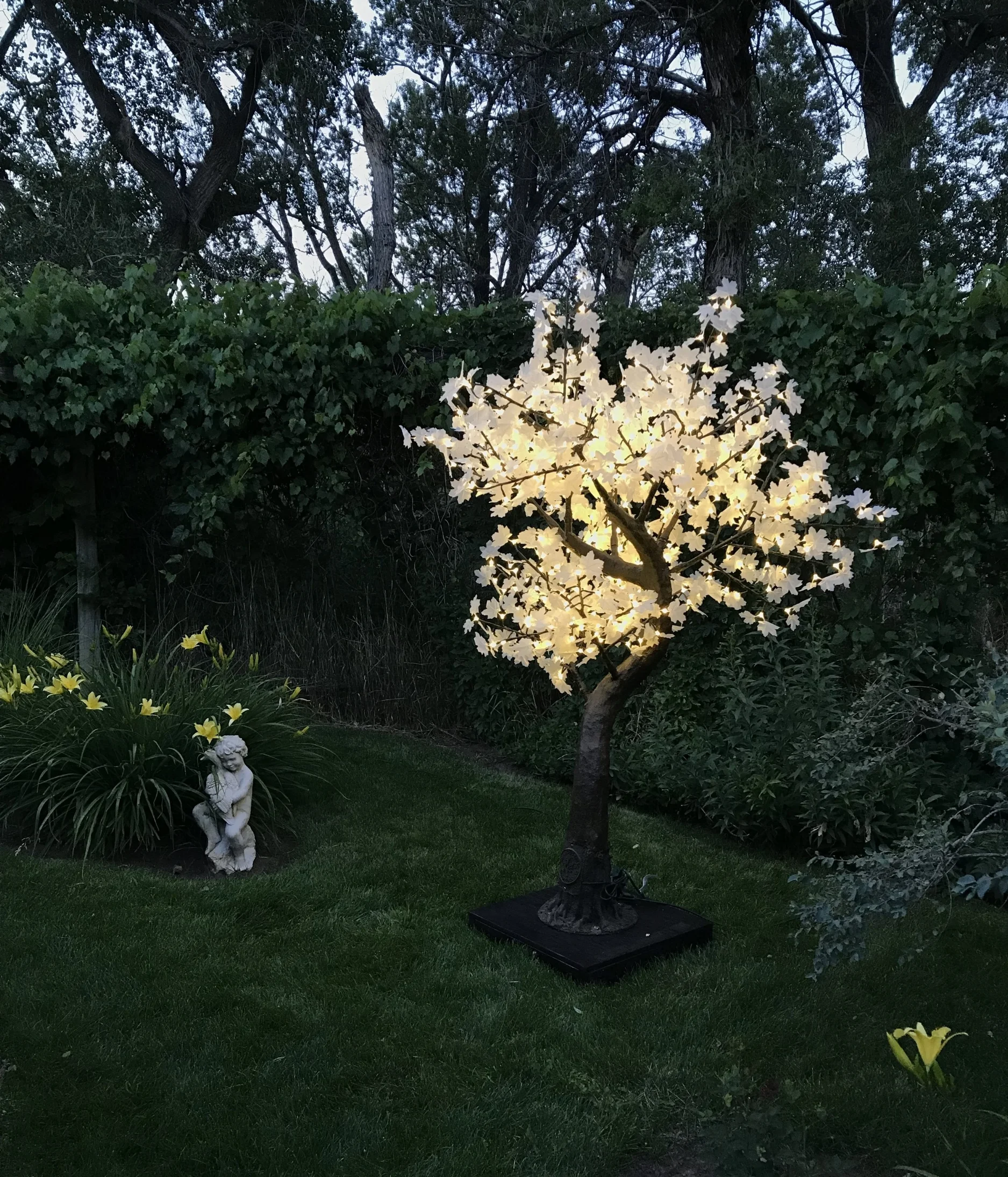 7Ft Crestone Crestone trees are ideal on a roof terrace or for framing an entrance. They are fitting for both inside and out use and can be dimmed with a dimmer switch if desired. the tree is 7feet tall and 5feet in diameter. it has 640 leds on 10 branches and is 26 watts. Available in Warm white only! Rental Price $295 Each