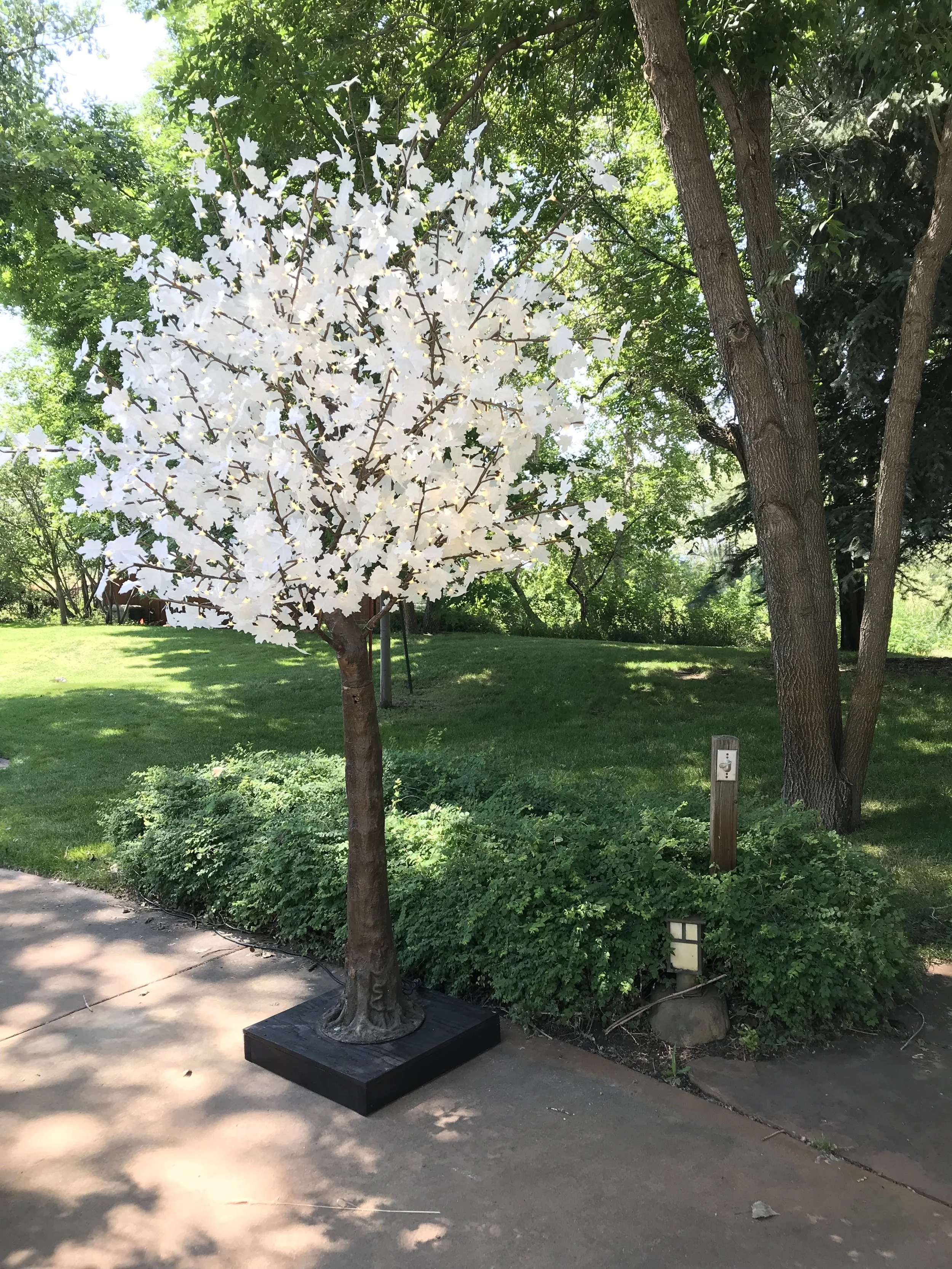 9Ft Popsicle Popsicle trees are perfect for adding height to your venue without taking up too much space, providing clearance for chairs, tables or other obstacles. They are fitting for both inside and out use and can be dimmed with a dimmer switch if desired. the tree is 9feet tall and 5feet in diameter and have 1248 leds on 13 branches. it is 70 watts Available in Warm White Only Rental Price $395 each