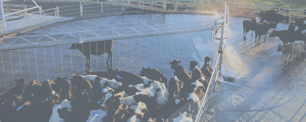 IMEX_case_studies_dairyparts.jpg