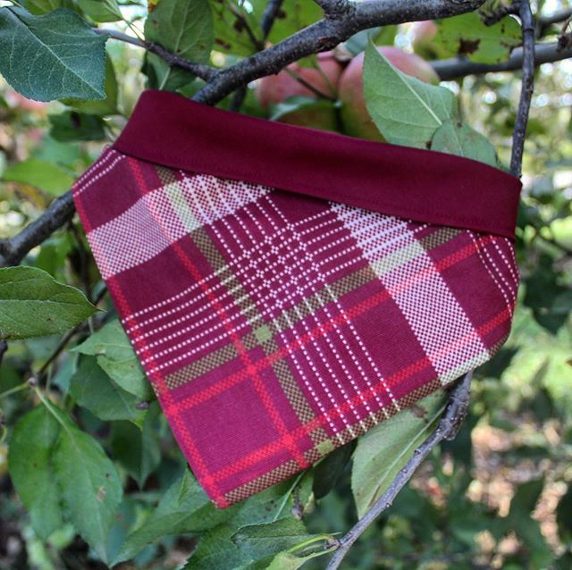 We have completely restocked our Apple Harvest Bandana! This bandana was designed in collaboration with @dogsofthemitten and can be purchased with their logo on it too! It is perfect for your next trip to the Apple orchard or fall outing with your pu