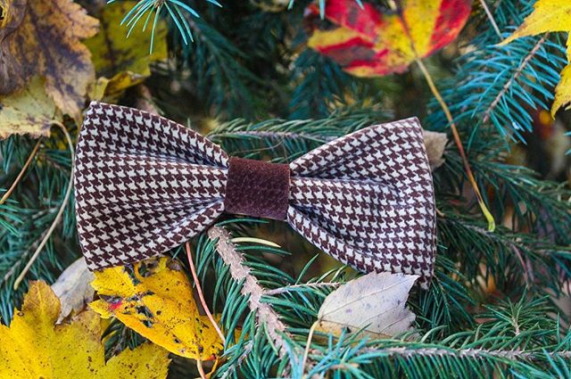The Classic Hound Collection is here! I love all of our collections, but honestly I&rsquo;m so in love with and excited about each accessory in this collection! This is the classic hound bow tie, which is made out of velvet and holds up really well t