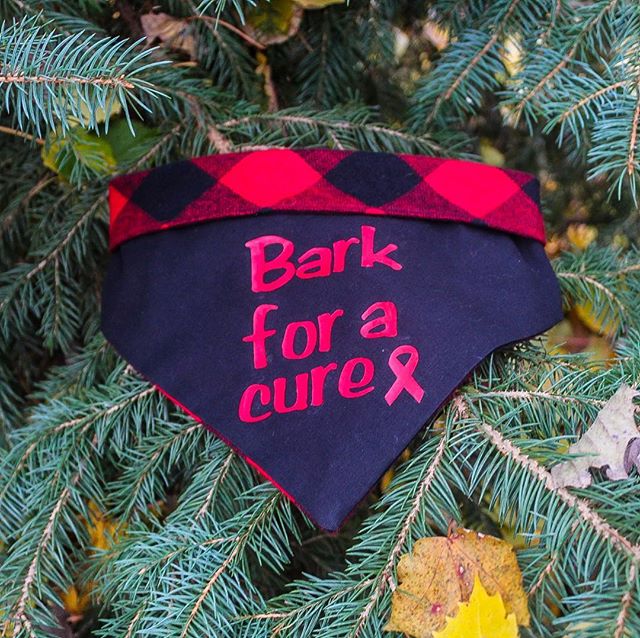 Let&rsquo;s bark for a cure! November is canine cancer awareness month! Since opening our little shop this year we have gotten to know so many of strong canine cancer warriors! When @finnandyogi came to us with the idea, we couldn&rsquo;t wait to mak