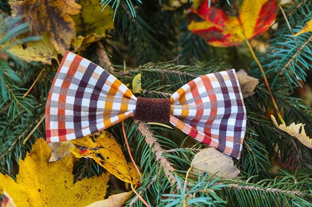 I can&rsquo;t believe that Thanksgiving is already almost here! I think the Ginger Hound Bow Tie is the perfect look for every thanksgiving dinner! What Thanksgiving traditions does your family have? My family eats seafood and goes to the movies! #pe