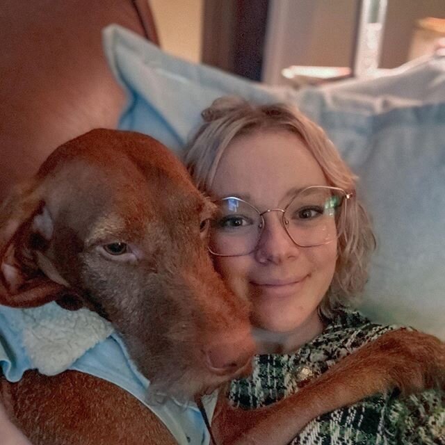 Piper: I love warm hugs!⁣
⁣
Do you like to cuddle? My girl and I love to cuddle, but in this picture we aren&rsquo;t cuddling. I&rsquo;m doing a very important task that I do to help my girl. It&rsquo;s called deep pressure therapy(dpt) and turns me 