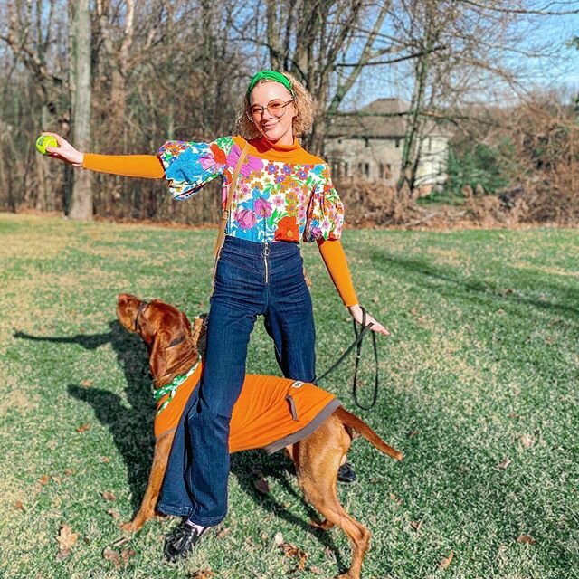 Piper: What a wonderful world! ⁣
⁣
My girl and I have officially been in quarantine for a week! Being chronically ill and disabled, my girl has a lot of experience with both social isolation and working from home. Before I was a service dog, this is 