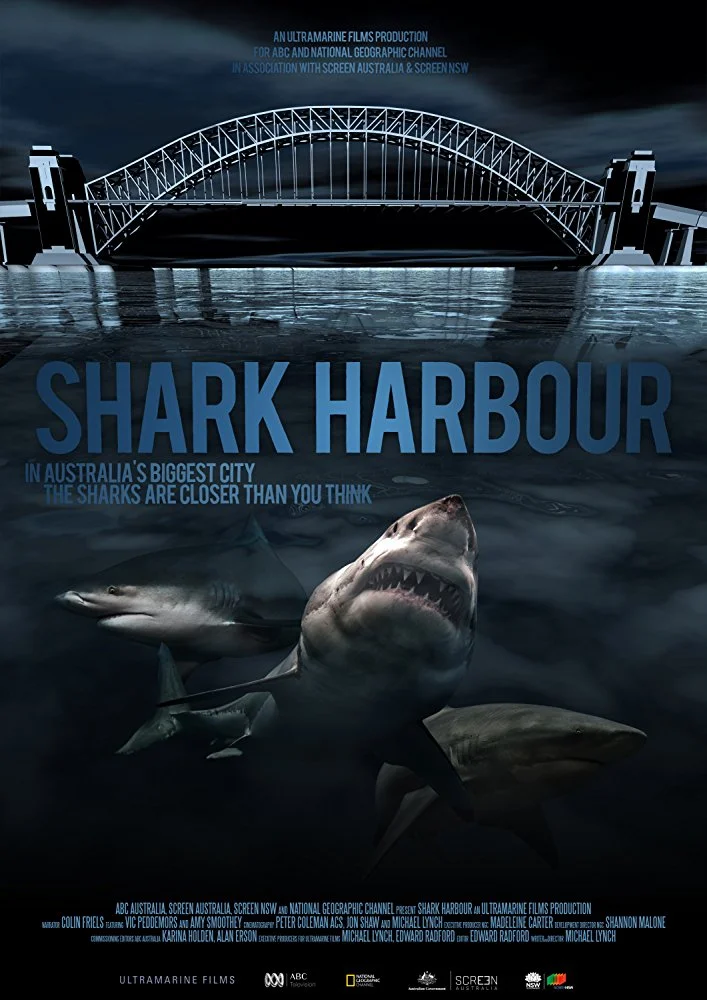 Shark Harbour