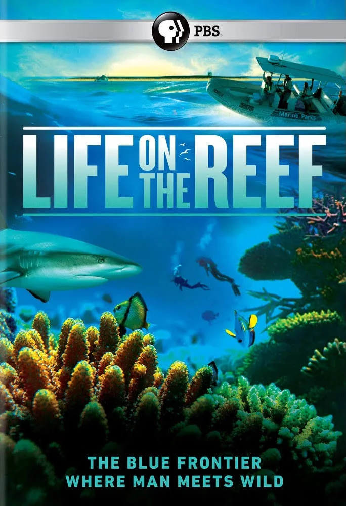 life-on-the-reef.jpg