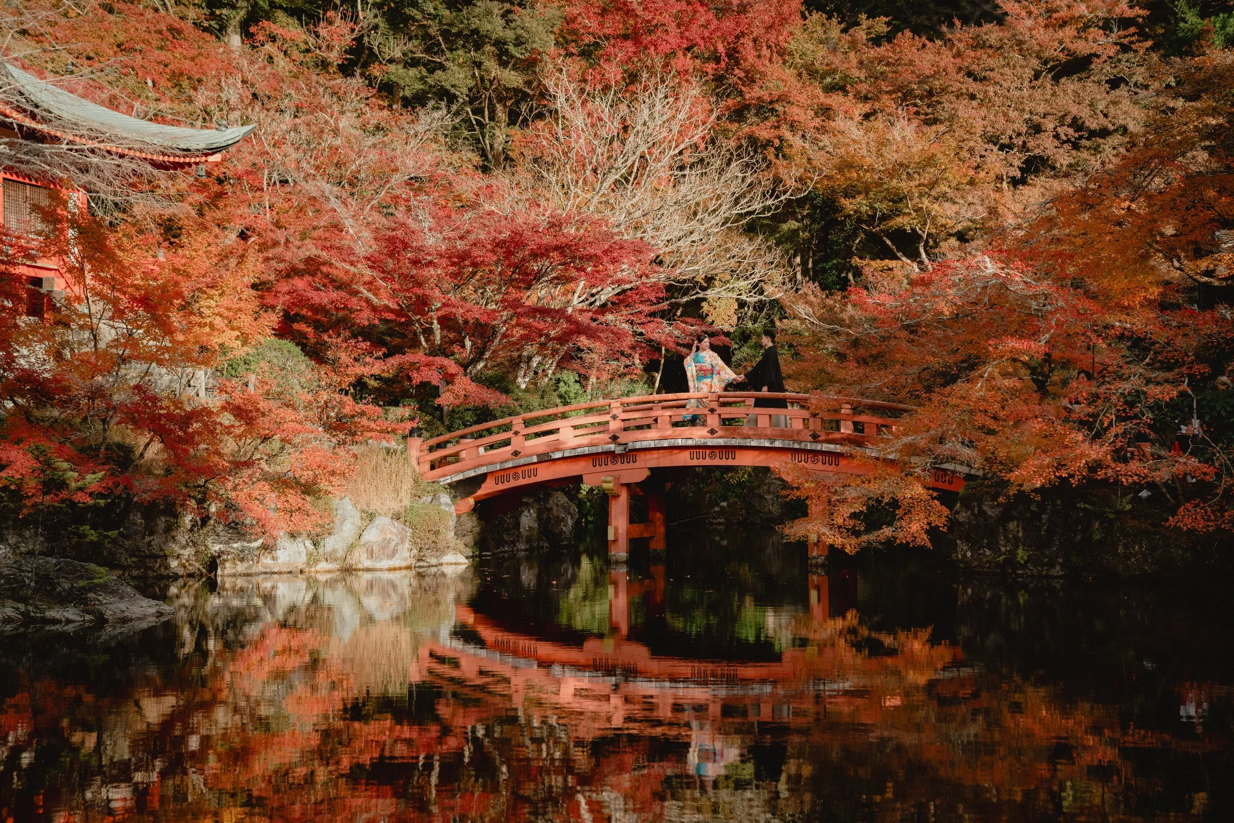 A couple photographed on a red bridge in autumn Japan