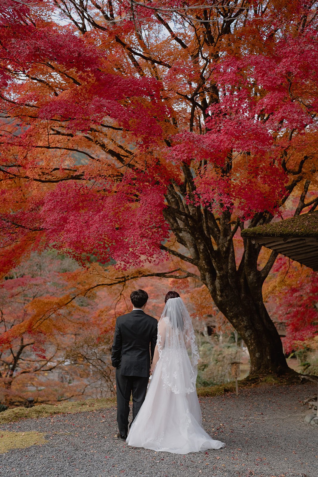 BLphotos - Kiley & Johnny-388_websize.jpg