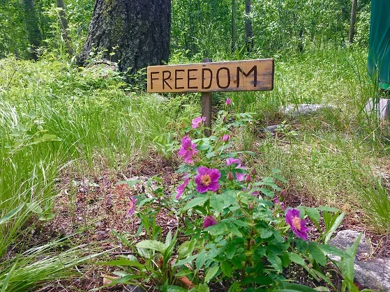 FreedomYurt.jpg