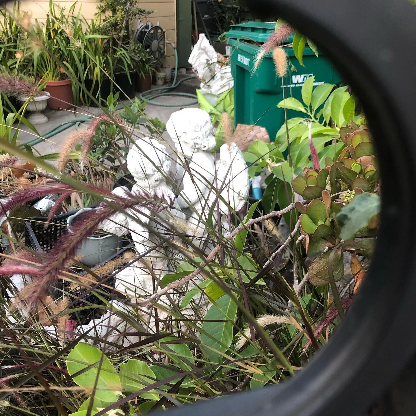 Completing a precious few days in the Bay Area with Anat and her team, getting to hang out with my Earth angels in the Bay Area (you know who you are), some requisite Salsa Cubana at Bissap Baobab, a magnificent Habana d&rsquo;Primera concert in SF a