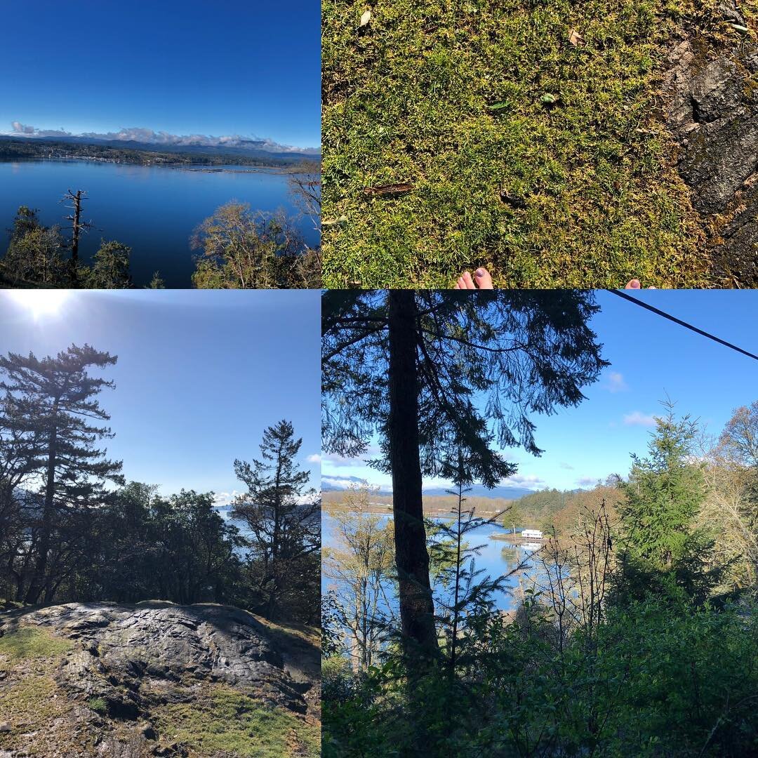 Each morning, before I work, I practice a Buddha Healing Palms Chi Kung meditation... this early, warm, pristine morning, practiced on the Bluffs, on the Genoa Bay trail, overlooking Cowichan Bay and the Prodigy Movement Centre🙏🏽🌞🦋🕊🦢🦢...#anatb