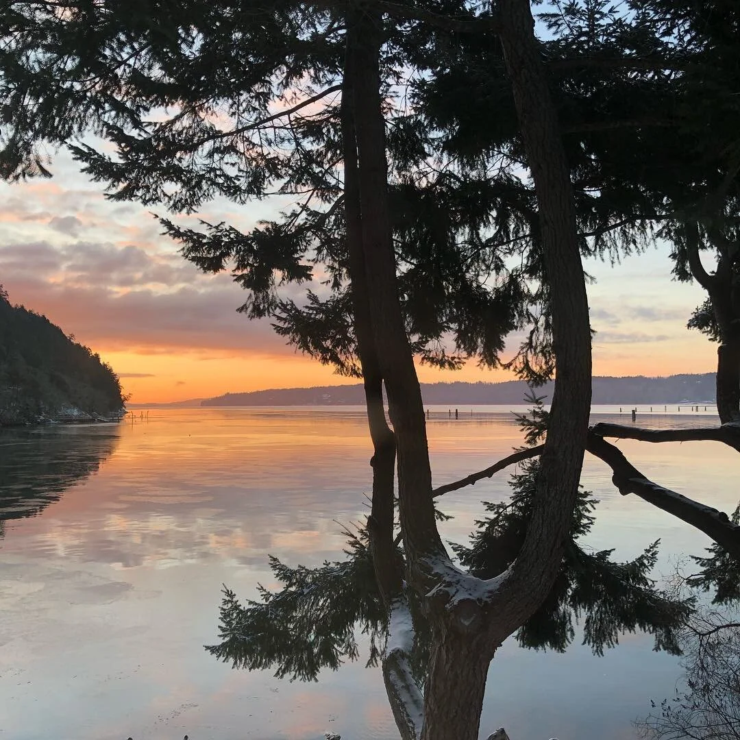 Ch&uacute;c m&ugrave;ng Nam moi! Gung hay fat choy from Prodigy Movement. May your year be filled with your Favourite of Everything ❤️🦋🌞🦅🌲🐉⛰🕊🧚🏽&zwj;♂️#love #health #hanhphuc #chucmungnammoi #neuromovement #adventures #anatbanielmethod #joy #c