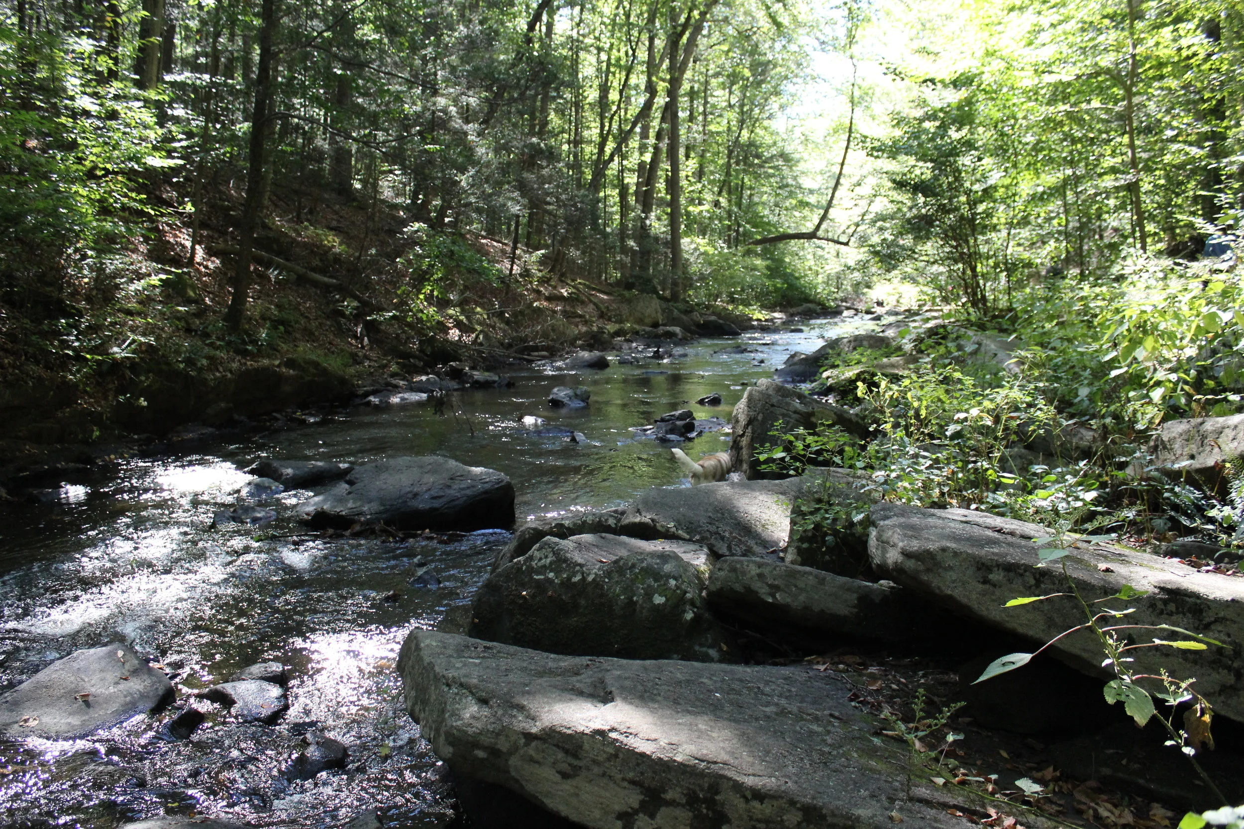Hacklebarney State Park