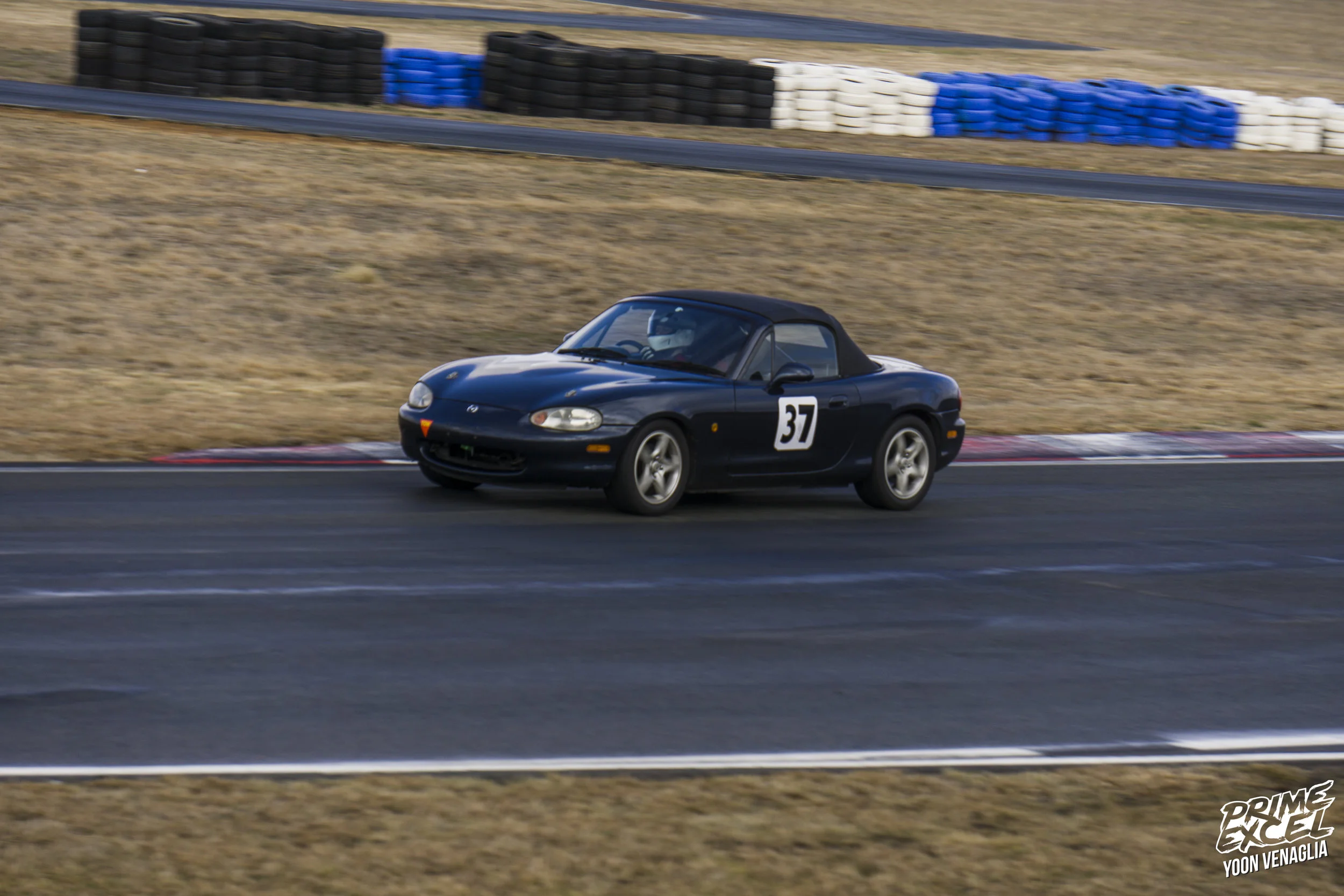 _DSC4234.jpg
