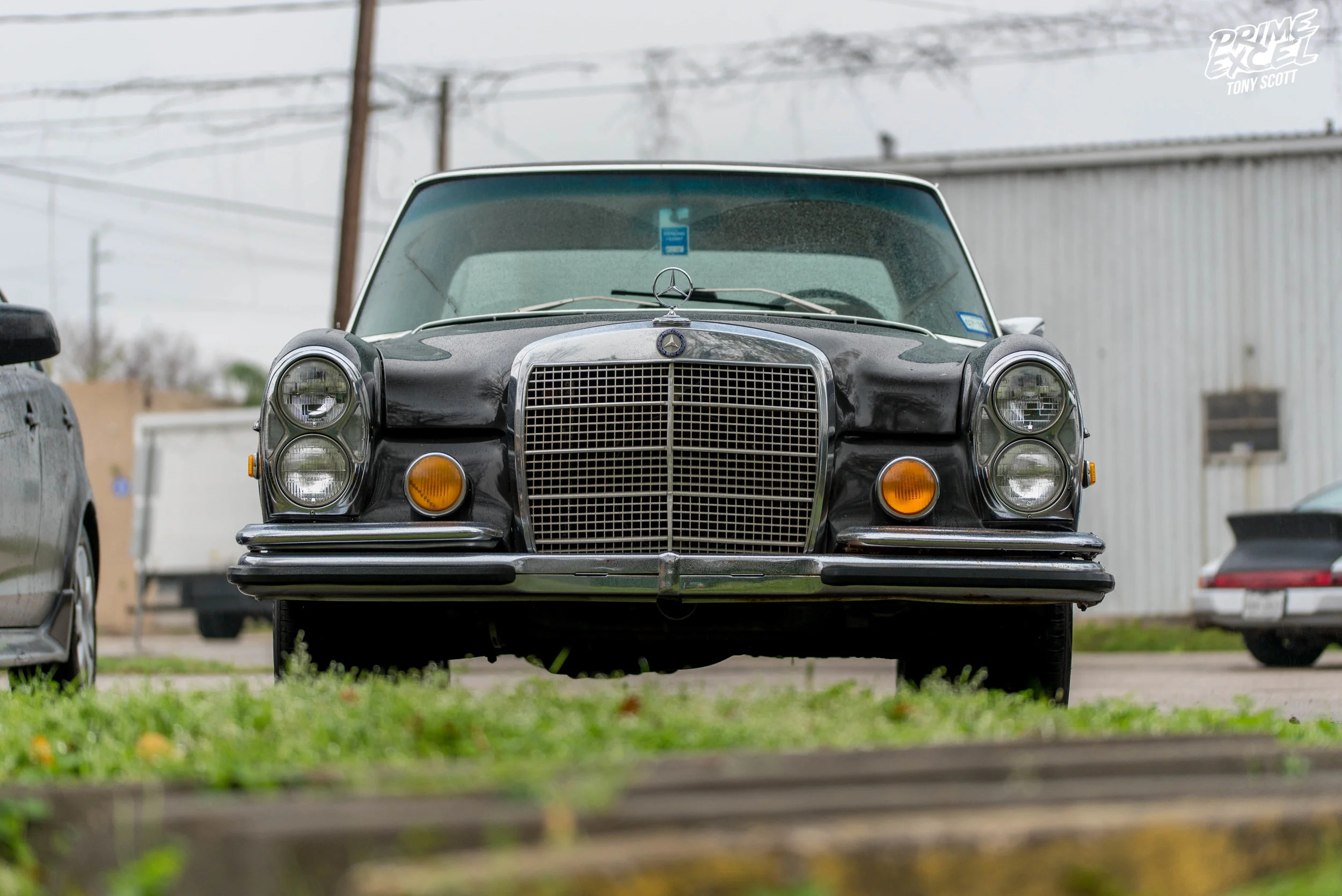 D7S_1039.jpg