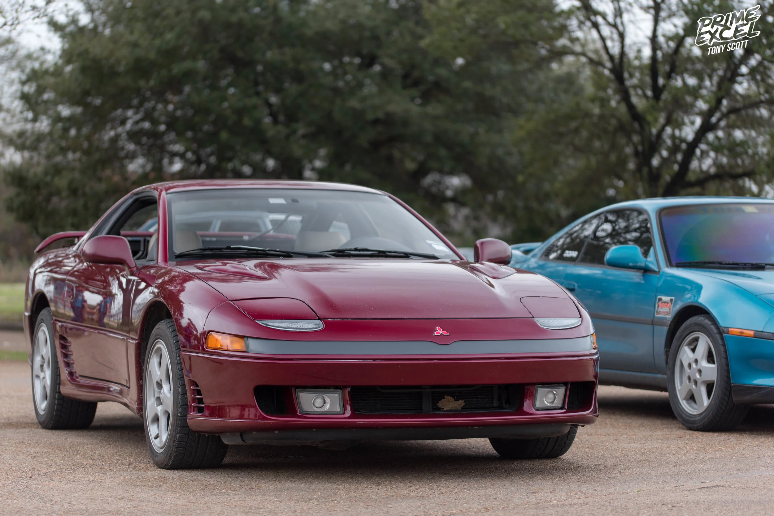 D7S_1195.jpg