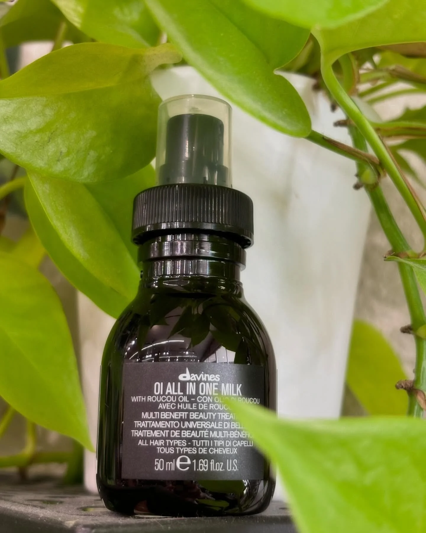 🌟Limited Time Offer🌟
Whether it&rsquo;s your Birthday or not&mdash; Get a free travel size Oi Milk with purchase of any two full size Davines styling or Oi products (while supplies last). 

*Valid for in store purchases only @mintsalonlodi