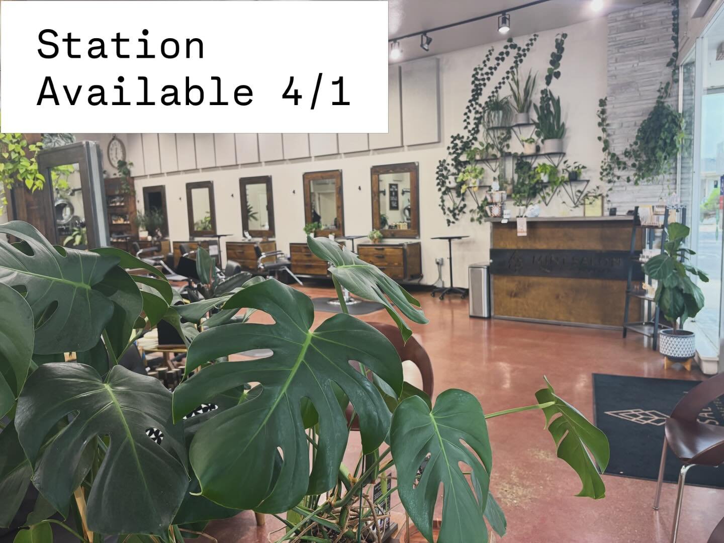 We have an open chair ✨

If you&rsquo;ve been looking for a space that feels calm, inspiring, and elevated&mdash;this might be your sign.

Mint Salon is now renting a station and looking for the right stylist to join our team 🌿

&bull; Bright, plant