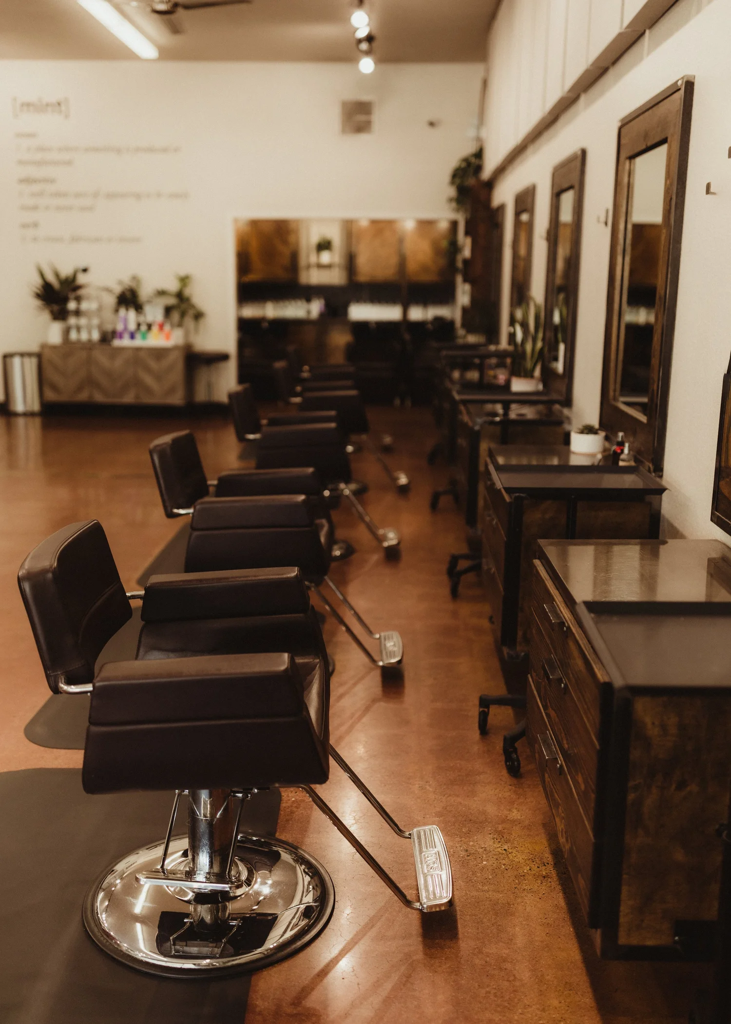 Mint Salon About Mint Salon Lodi, CA