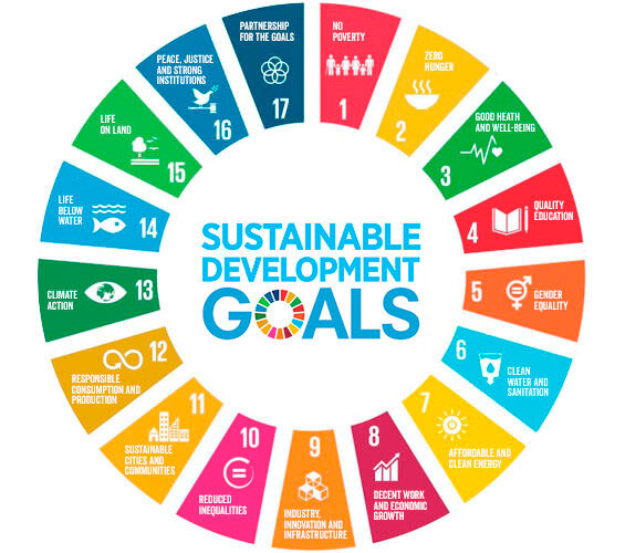 SDG goal.jpg