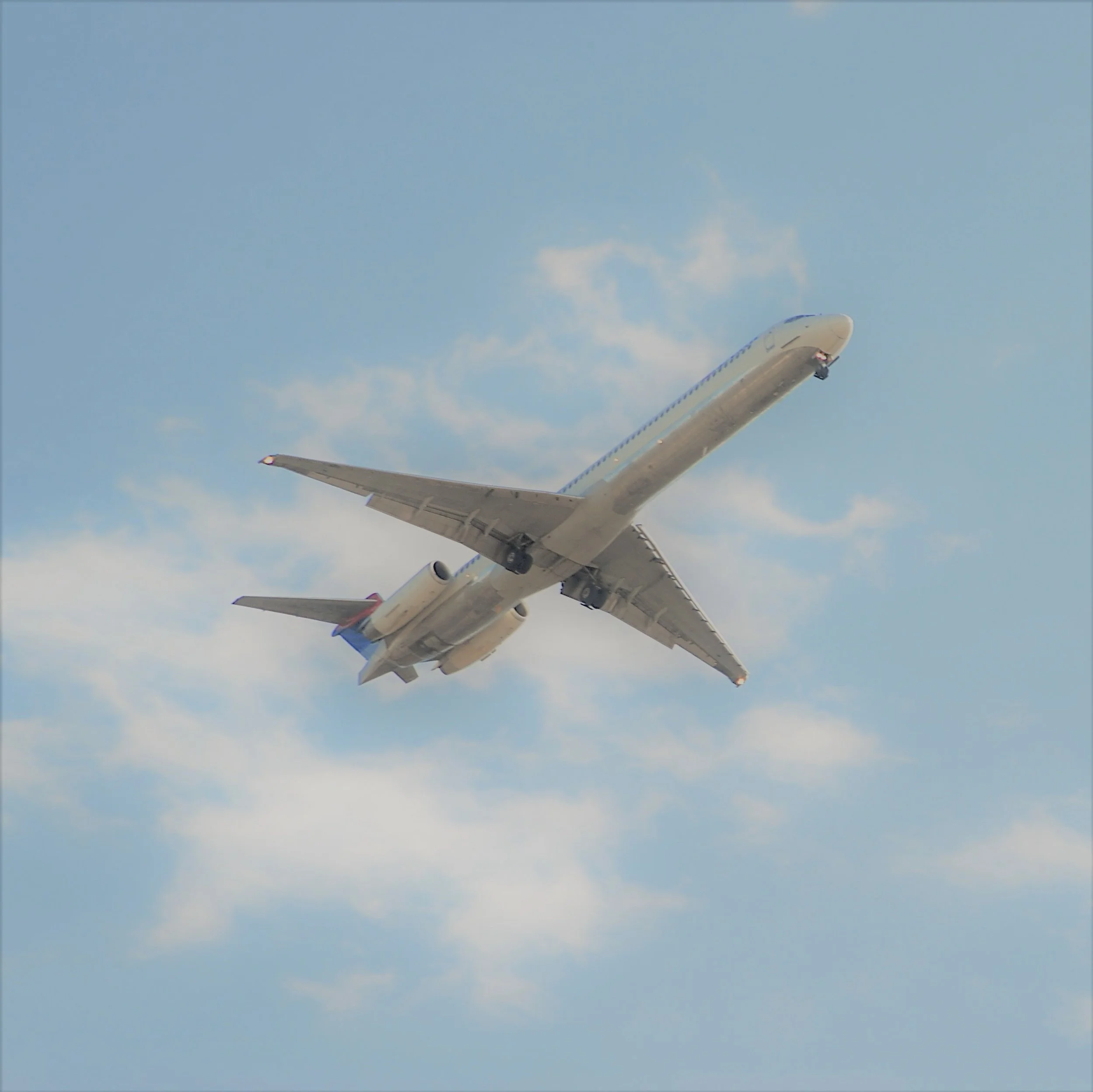 Immersion Trips.jpg