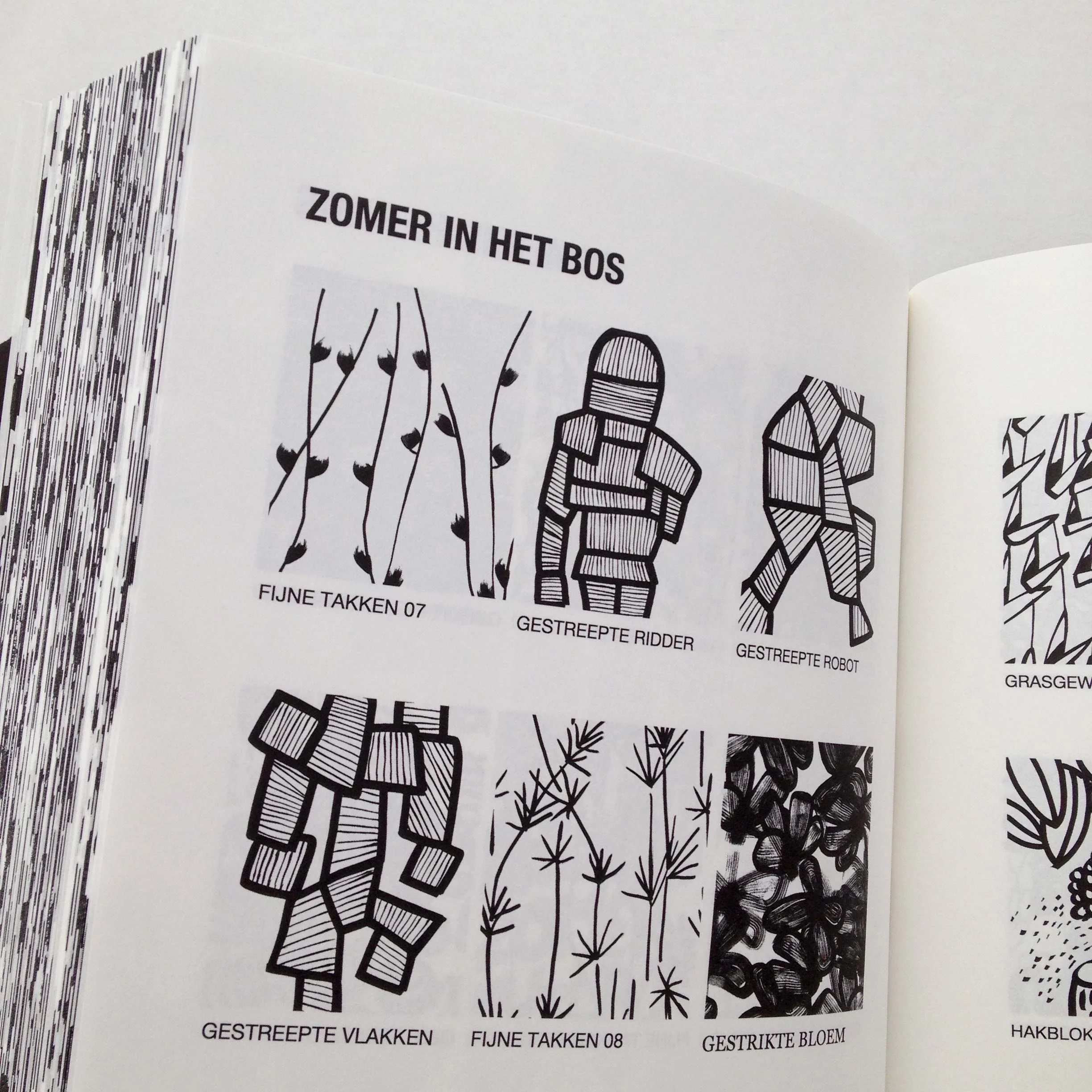 BOOKEXTRACT_IMG_9415_web.jpg