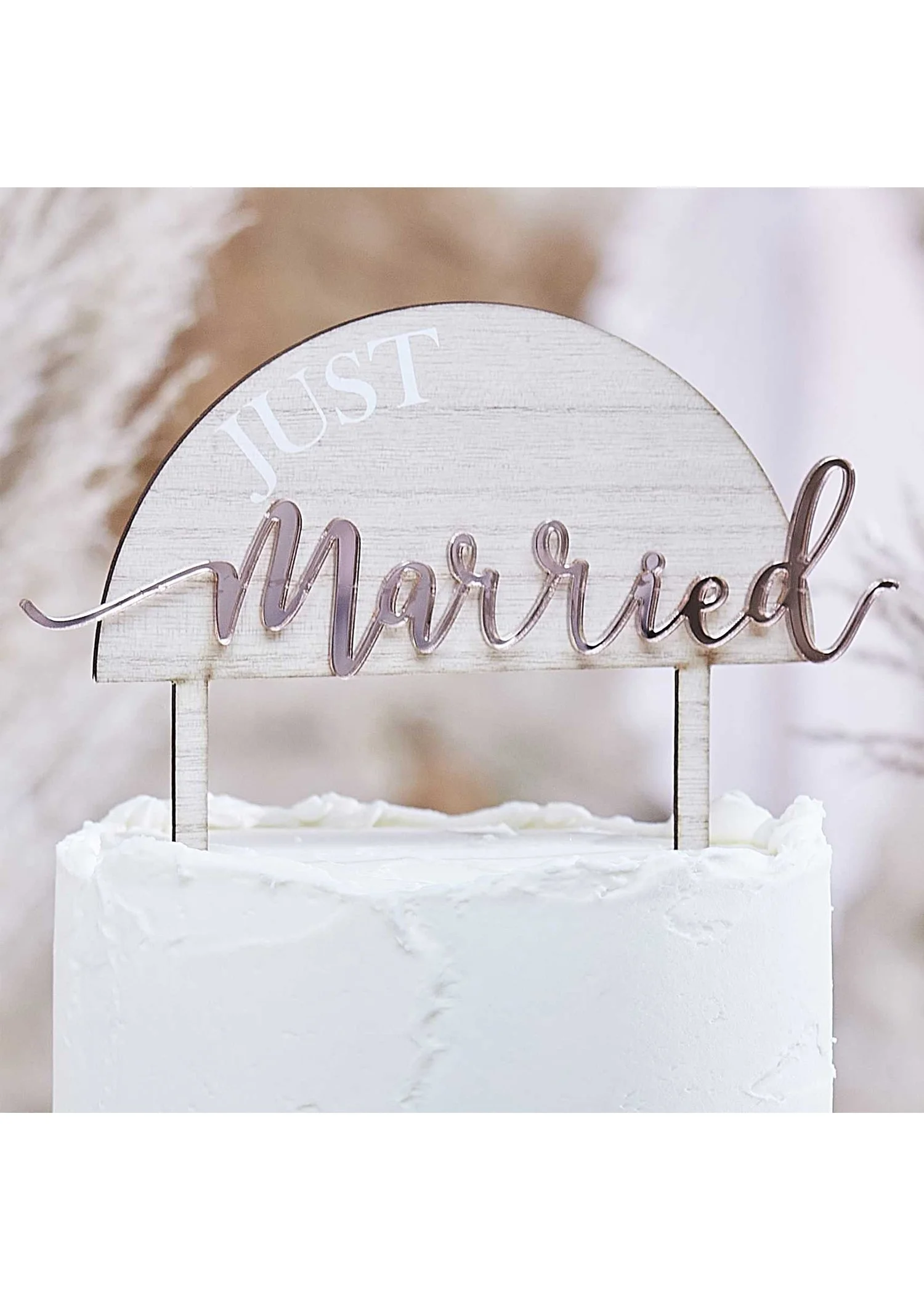 GingerRayJustMarriedCakeTopperOnCake.jpg