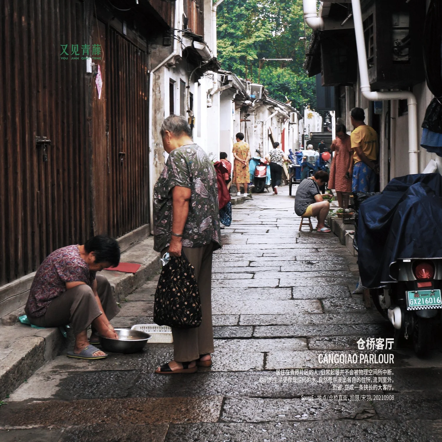 青藤手记no 8 Uad Acrc