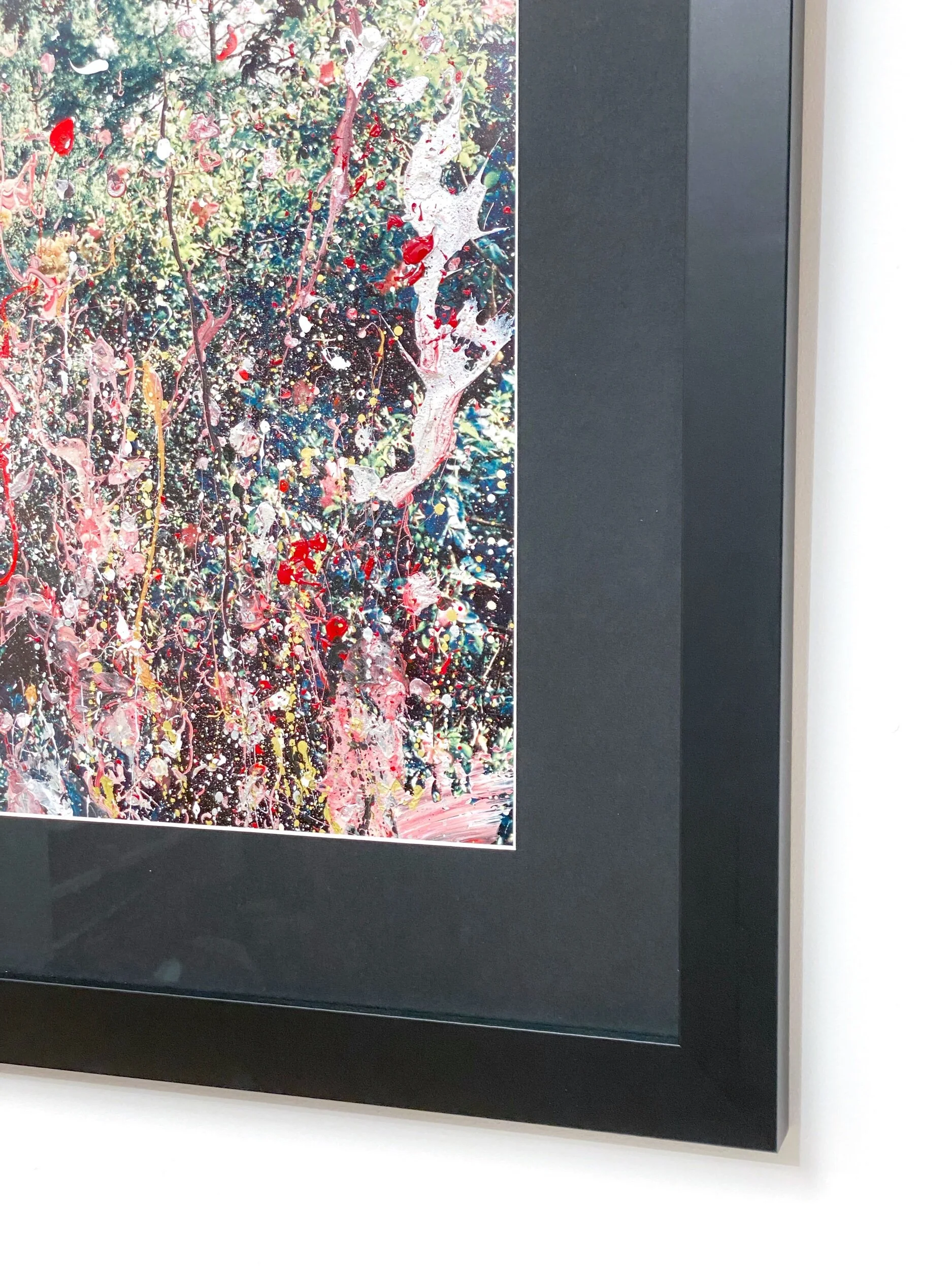 95708A25-F12B-47C6-A14D-A1CCEA161F8F