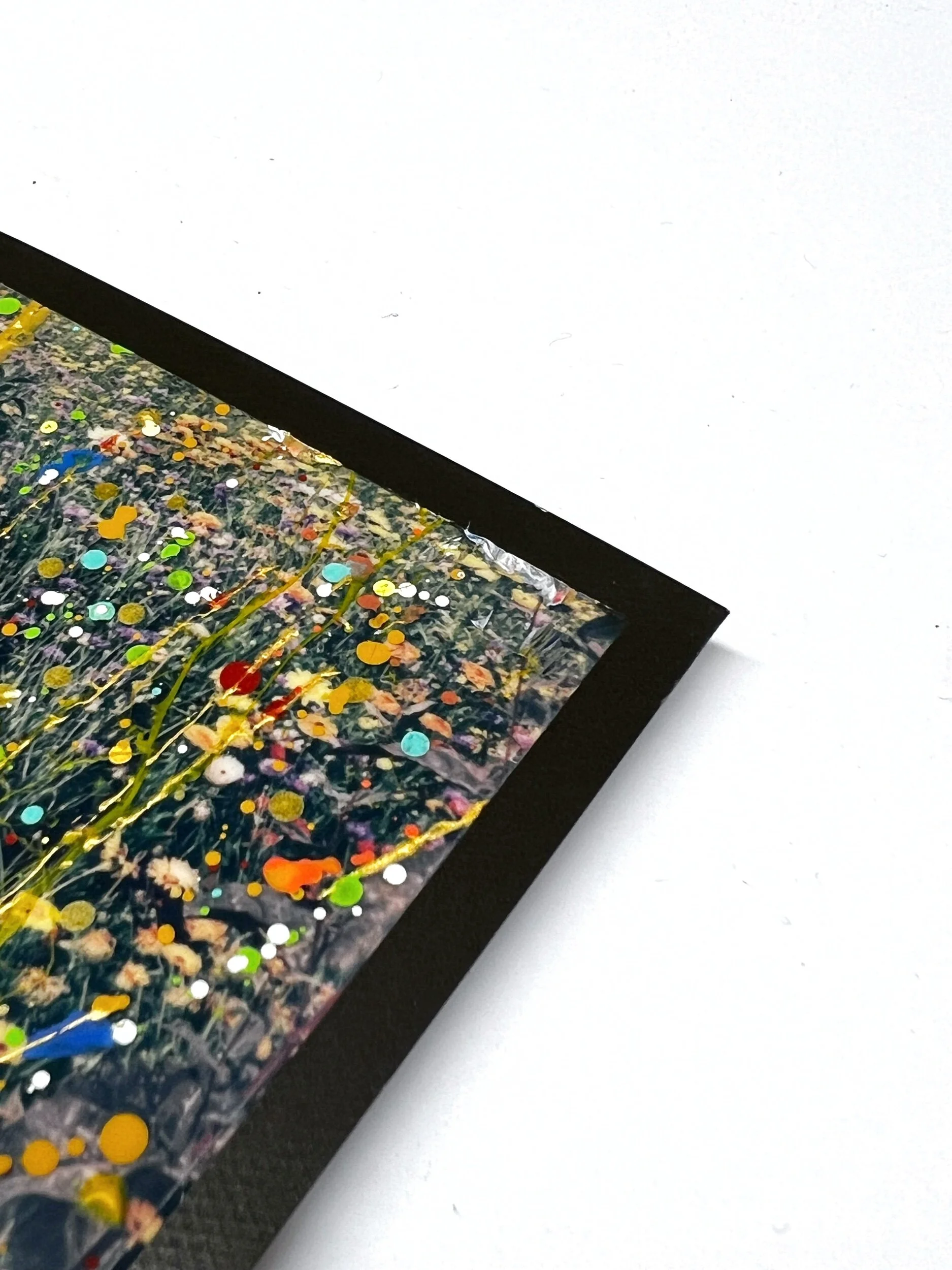 606AB66D-8A5F-48EB-8C22-566EE3C2C307