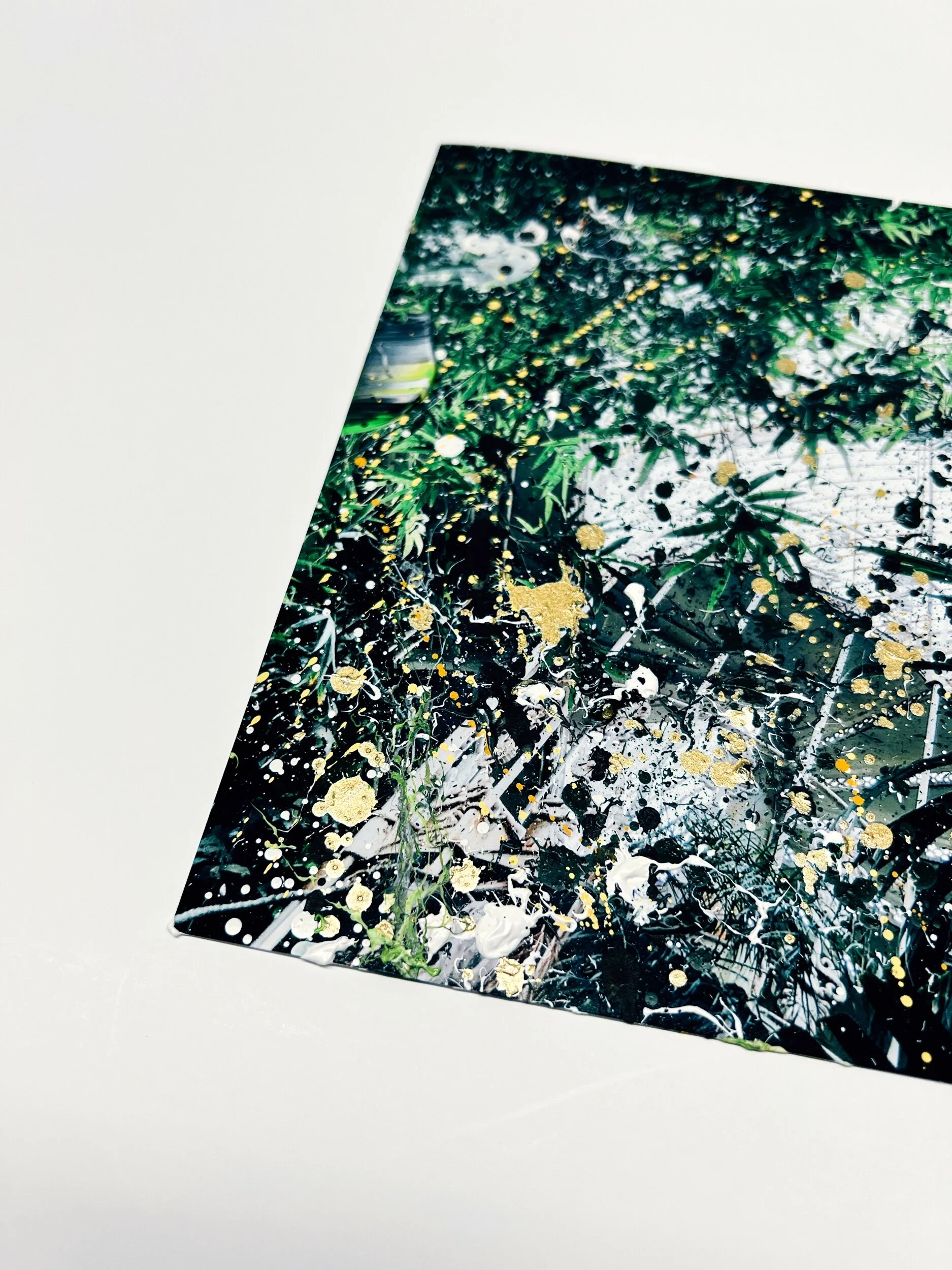 1DEFB60F-A6E9-4AC2-8E51-B52658BA1A83