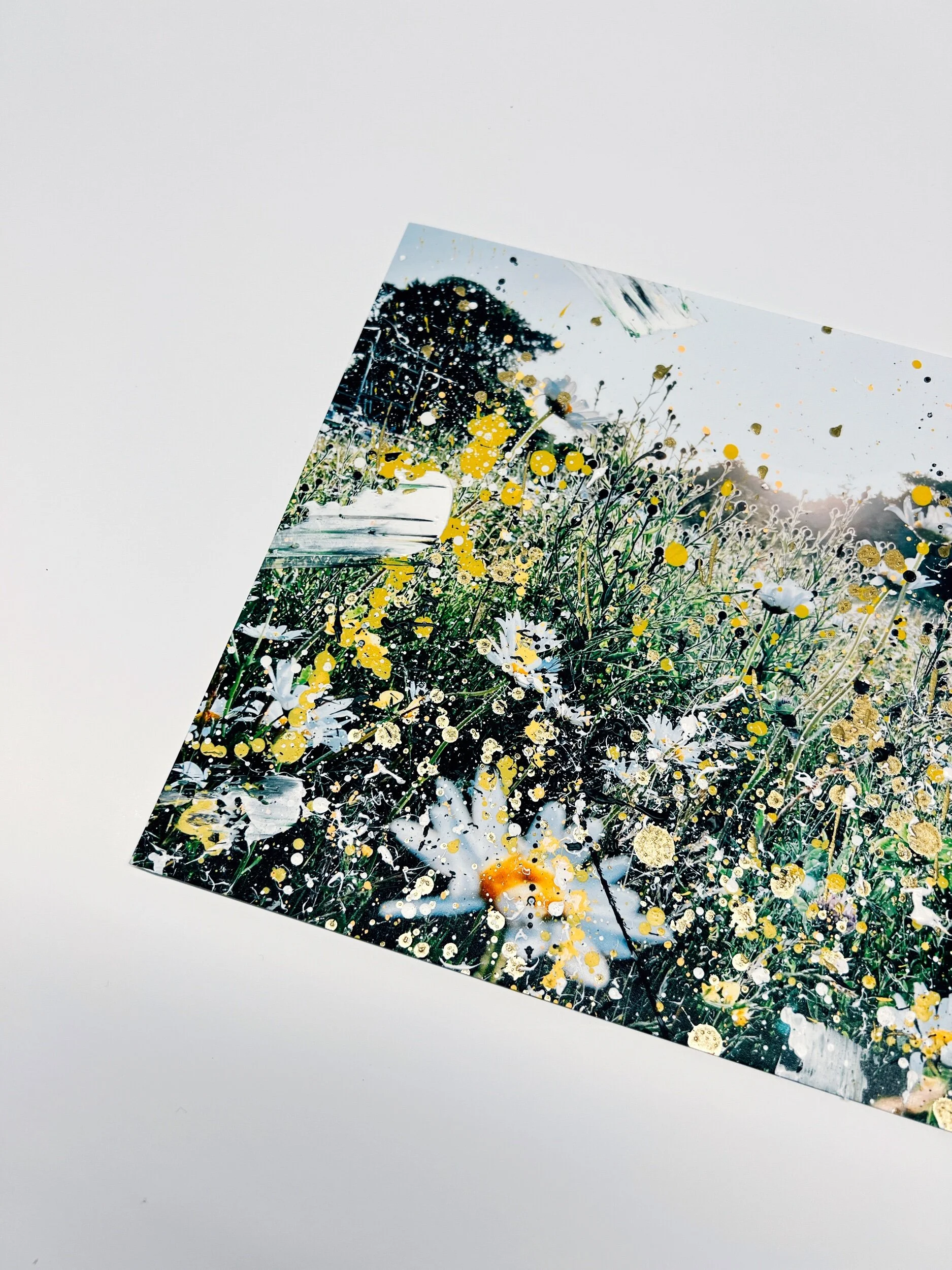 BF1BBD10-BE02-4A8D-886B-E4D986FED8F8