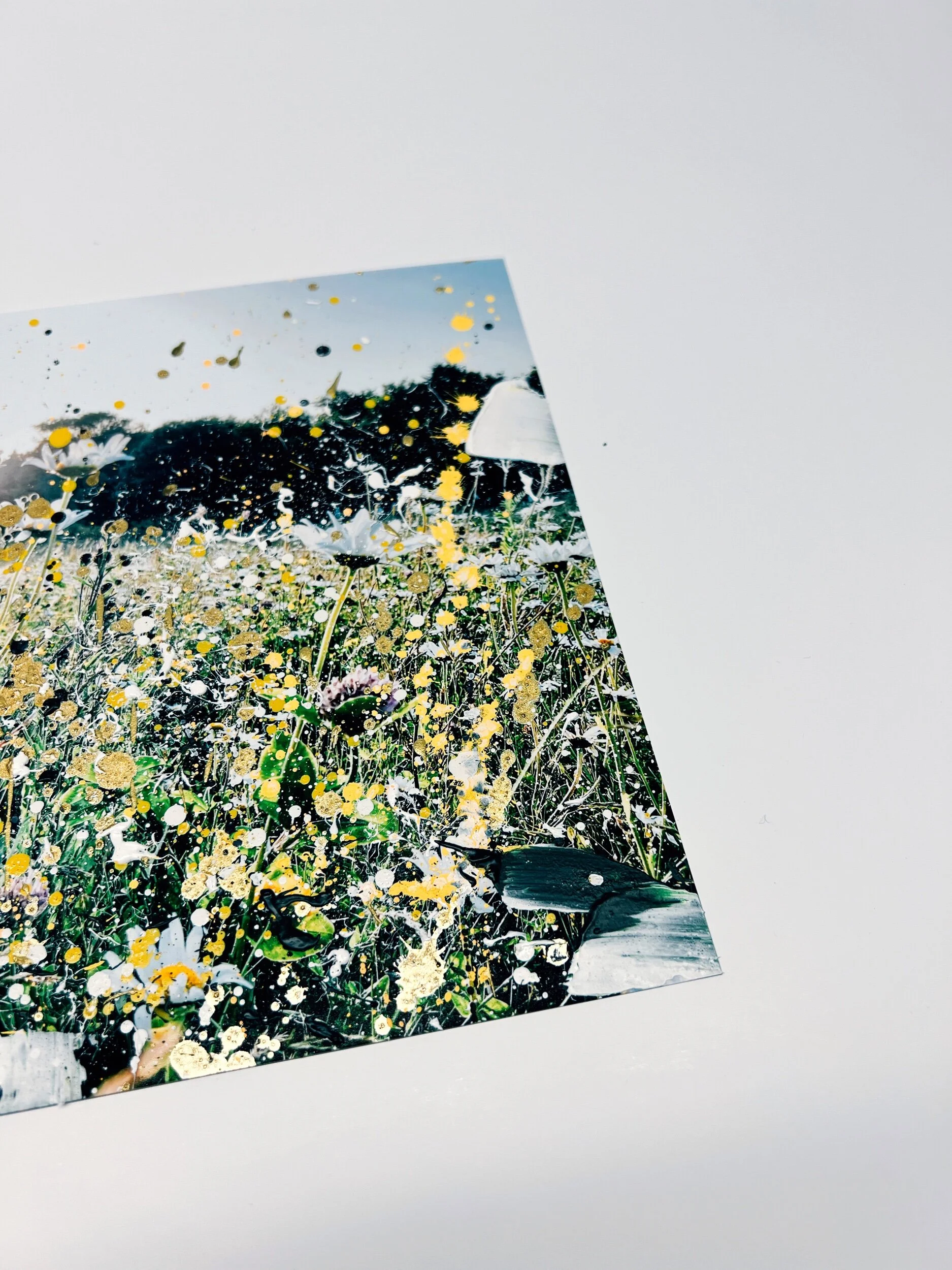 8D3CD2A4-06B3-4BDB-8712-DC74BA43F8BC