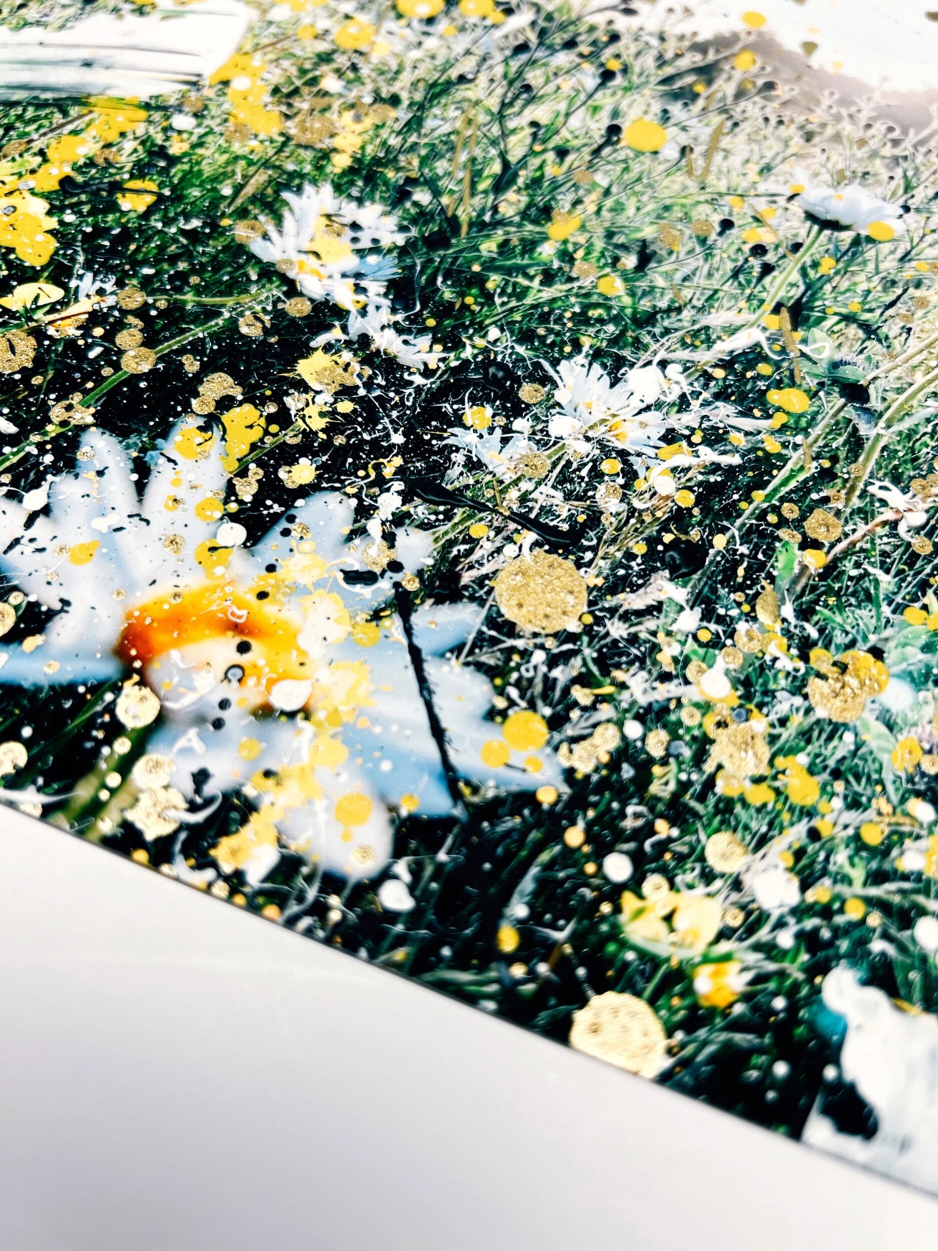 0EC10D97-C49F-45DB-B66D-85C44007B852