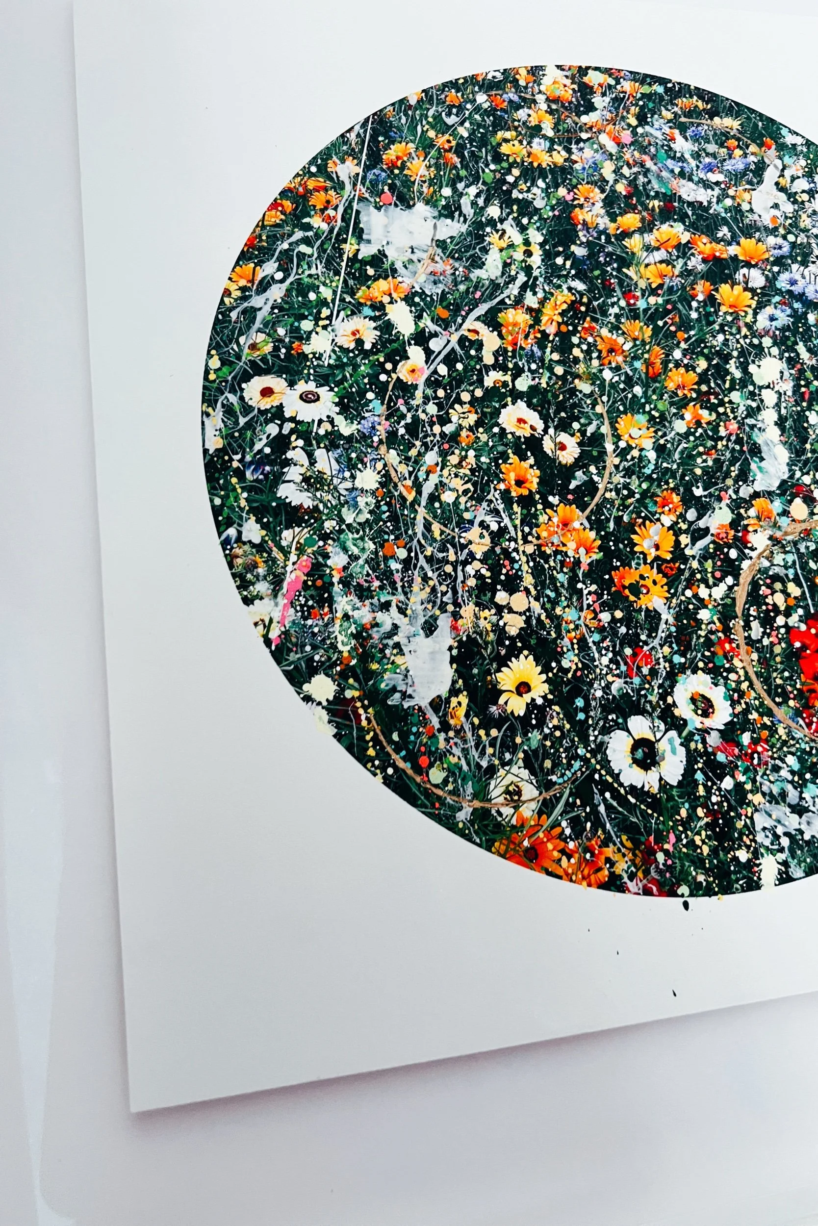 80C70B55-82ED-40DA-AA6A-756F30E06894