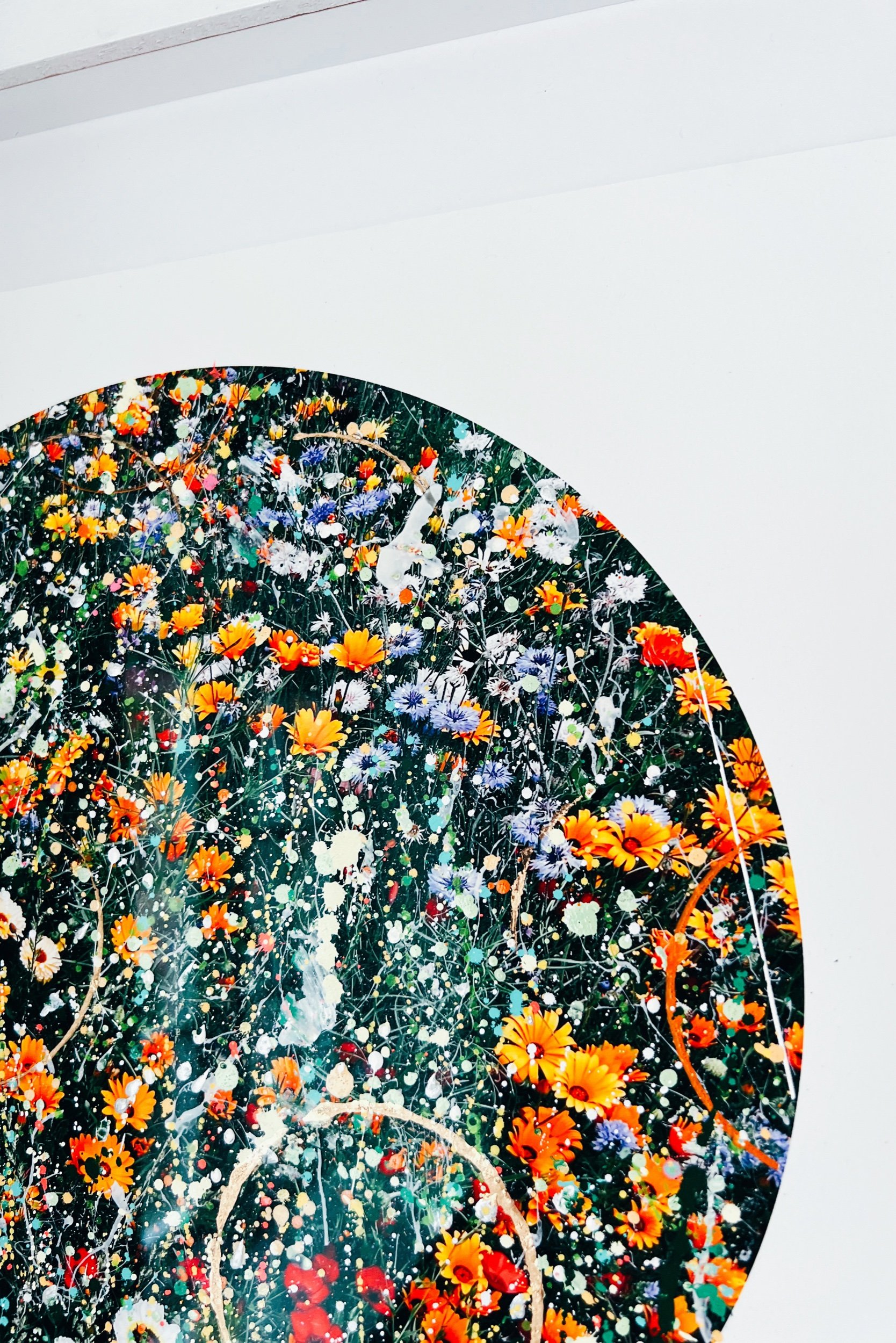 16E0CF27-881A-48D2-B8EF-55B359BD3414