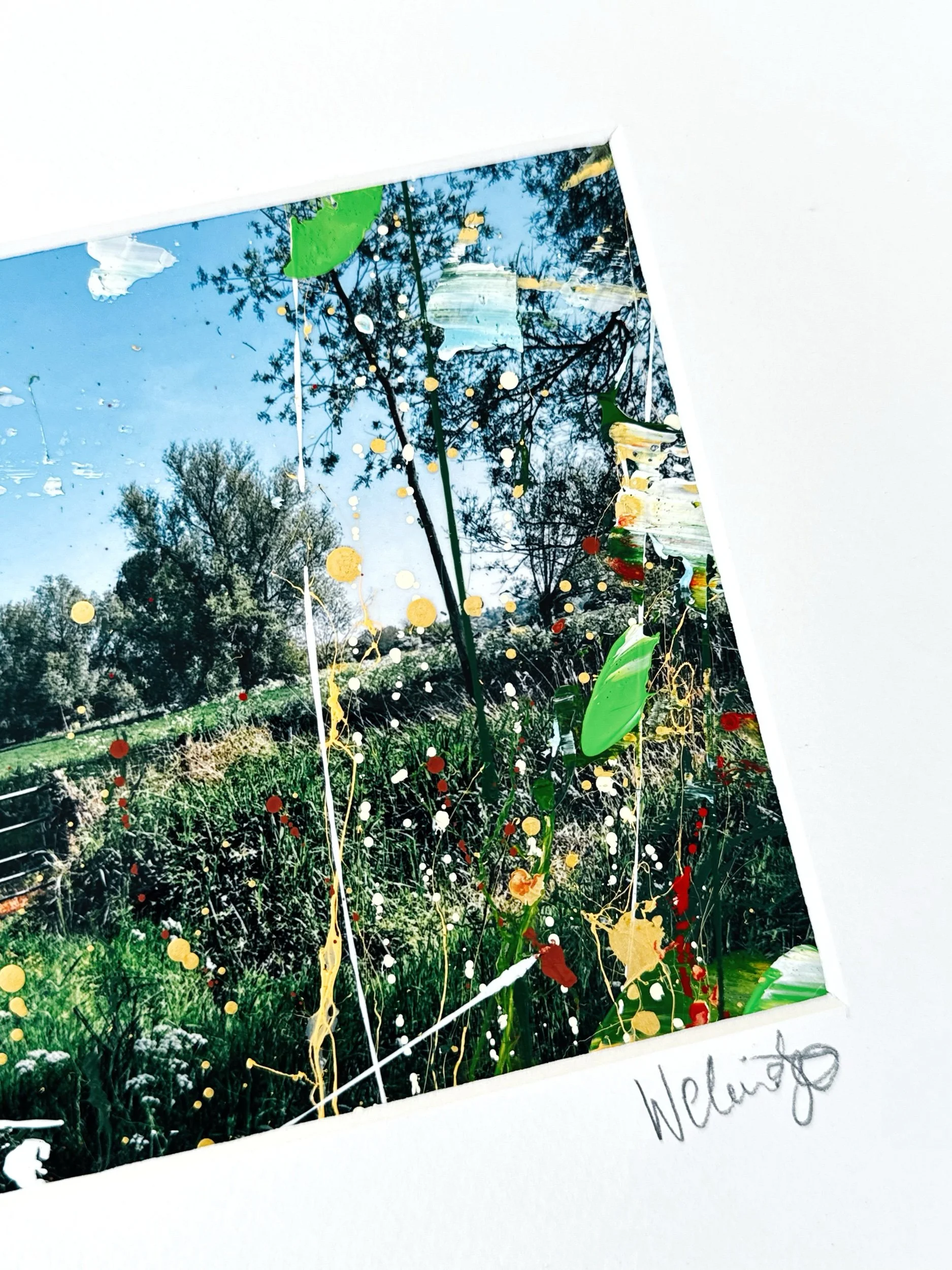 05C3D407-309F-444D-BDAF-A8360769A286.jpeg