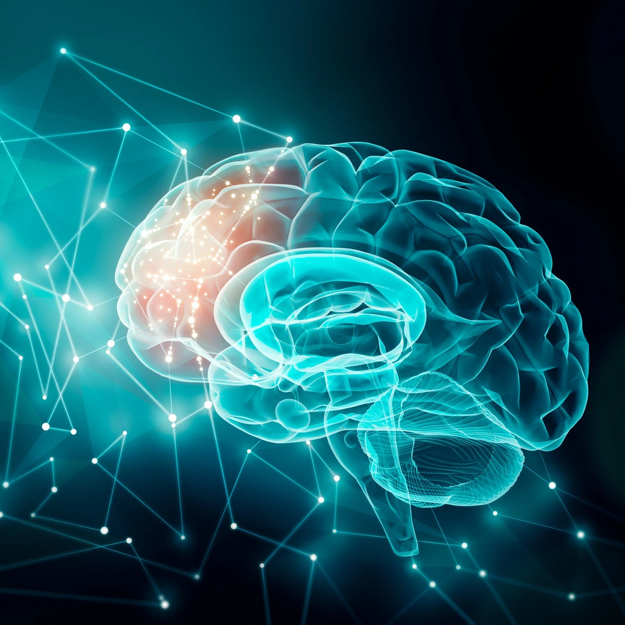 The Vagus Nerve, Polyvagal Theory and Hypnotherapy