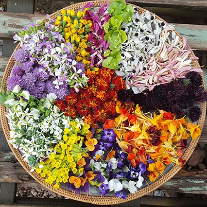 Edible-flowers.jpg